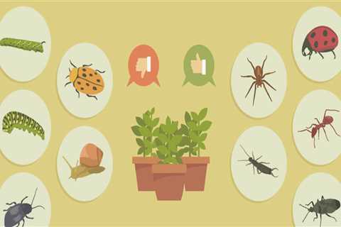 How do you control pests safely?