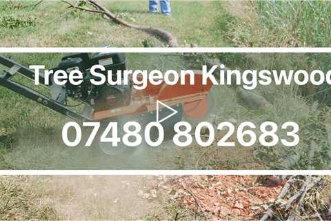 Tree Surgeon Kingswood Emergency Tree Removal Stump Grinding Stump Removal & Tree Felling Services