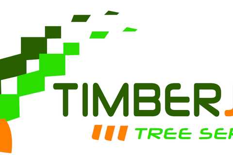 Timberjak Tree Service Introduction