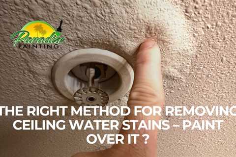 The Right Method for Removing Ceiling Water Stains – Paint Over It ?
