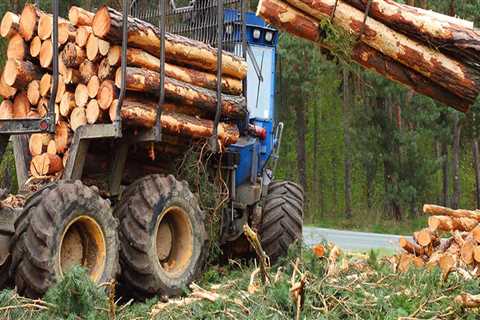 Exploring the Different Types of Delimbers in Forestry Equipment
