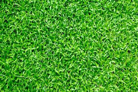 Everything You Need To Know About Artificial Turf For Your Front Yard Landscaping In Scottsdale