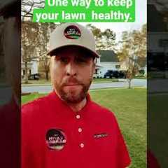⏰⏰ Biweekly or Weekly Lawn Maintenance Schedule⏰⏰