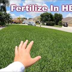 Can Your Fertilize The Lawn in Summer and Not Burn It?