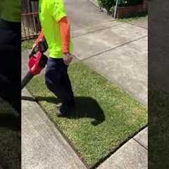 Mastering Lawn Care: Essential Tips for Using a Lawn Mower!