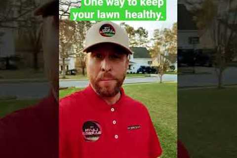 ⏰⏰ Biweekly or Weekly Lawn Maintenance Schedule⏰⏰