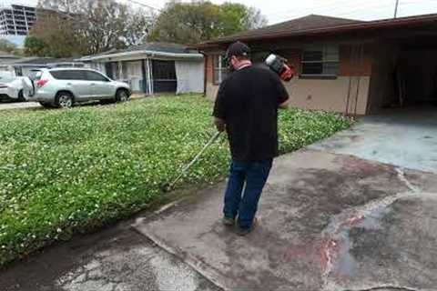 GOVERNMENT TAKES POSSESCION of home LEAVING it to be a BLIGHT on the NEIGHBORHOOD