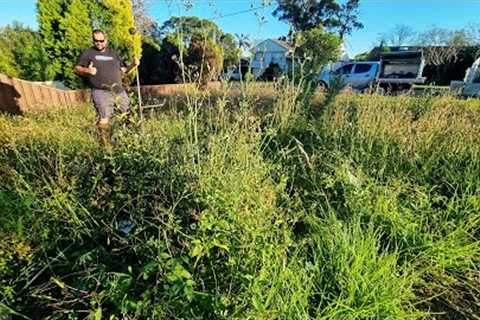 I TOOK ON this CRAZY MOWING Job As The Local Lawn Contractor WOULDN’T TOUCH IT