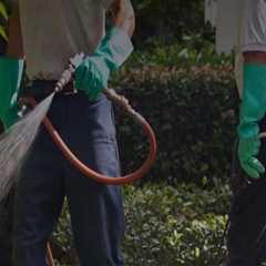 How To Choose The Right Pest Control Service Company For Lawn Pest Control In Woodstock, GA