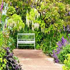 Designing and Implementing an English Garden: How to Create a Beautiful Outdoor Space