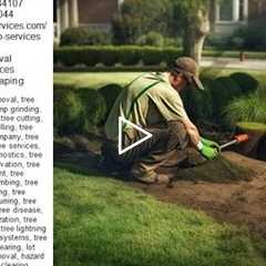 Stump Grinding Company - Tree Services - Truco