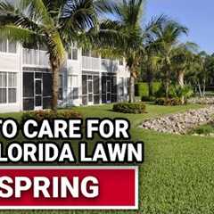 How To Care For Your Florida Lawn In Spring - Ace Hardware