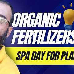 Transform Your Garden: Organic Fertilizers for Healthier Plants and Fewer Pests