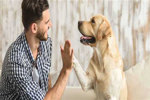 Is indoor pest control safe for pets?