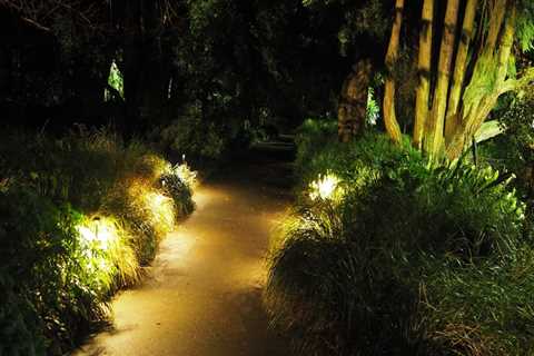 Outdoor Lighting Design and Installation: Illuminating Your New Zealand Landscape