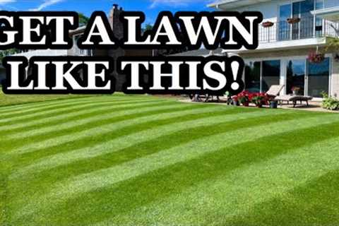 First steps to FIX YOUR LAWN