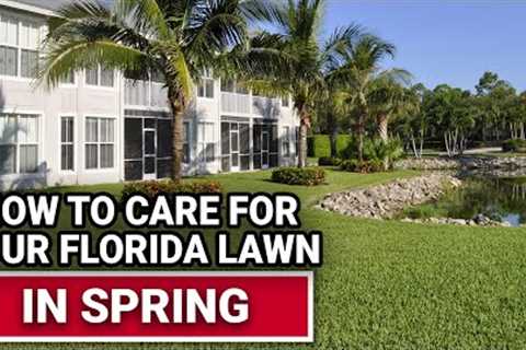 How To Care For Your Florida Lawn In Spring - Ace Hardware