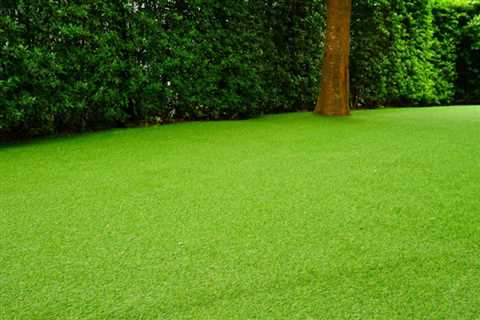 Enhancing Property Value with Artificial Grass Installation and Maintenance in Newcastle