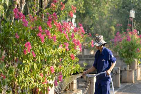 Essential Factors To Consider When Hiring The Best Tree Care Services In St. Louis