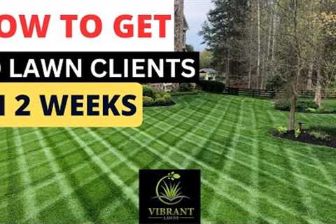 HOW I GOT 40 LAWN CUSTOMERS IN 2 WEEKS #lawncare #lawncarebusiness #mower