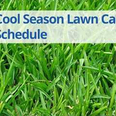 Year-Round Timing for Cool Season Lawn Care: Seasonal Tips and Schedule | DoMyOwn.com