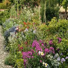 How to Create and Maintain a Beautiful Garden: A Complete Guide