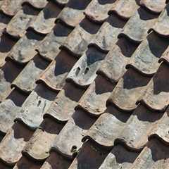 Removing debris from the roof: A Comprehensive Guide