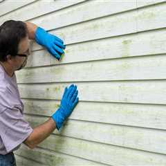 Cleaning and Treating Mold or Mildew: A Comprehensive Guide to Roofing and Siding Maintenance