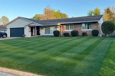 Introduction to Cool Season Lawns // Cool Season Lawn Guide