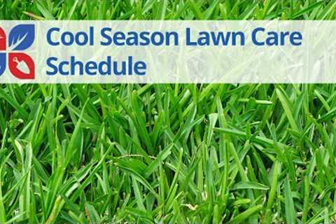 Year-Round Timing for Cool Season Lawn Care: Seasonal Tips and Schedule | DoMyOwn.com