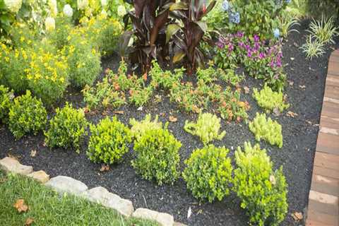 Mulch Matters: How To Choose The Right Service For Your Northern VA Residential Landscape