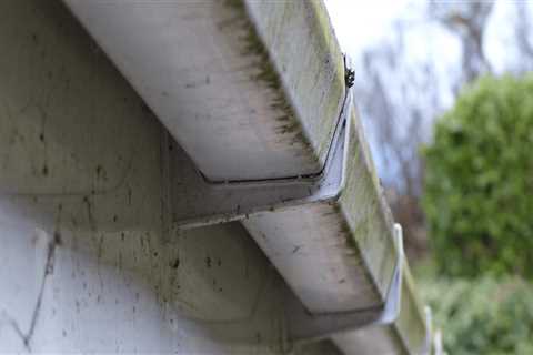 A Complete Guide to Gutter Cleaning and Maintenance