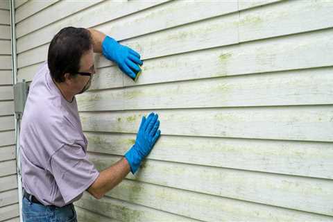 Cleaning and Treating Mold or Mildew: A Comprehensive Guide to Roofing and Siding Maintenance