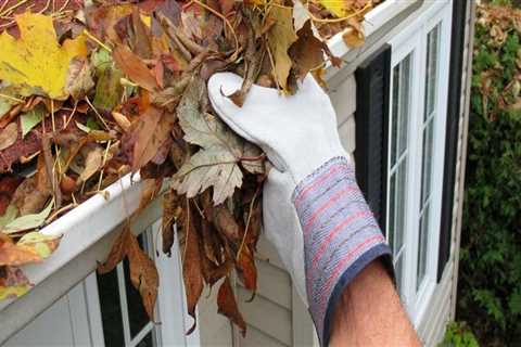 Cleaning Gutters: The Ultimate Guide to Maintaining Your Roof