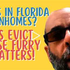 Solving Rat Infestation Problems in Florida Townhomes