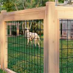 The Most Affordable and Stylish Fencing Options for Your Home