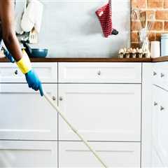 What Are The Benefits Of Hiring A Professional Maid Service In Austin, TX