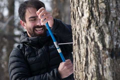 Unlocking the Secrets of Tree Growth: Mastering Arboriculture with Expert Pruning, Soil Nutrition,..