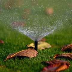 Why Residential Sprinklers Are The Perfect Partner For Seasonal Tree Care Services In Northern..