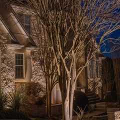 Seamless Design: Integrating Low Voltage Lighting After Working With An Austin Landscape Architect