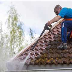 Cleaning to prevent Algae Growth on Arizona Roofs