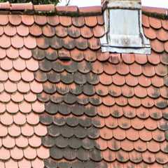 Causes of Mold and Mildew Growth on Roofs