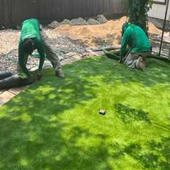 Why Do Arborists Recommend Installing Sod Grass For Landscaping Projects In Austin, TX?