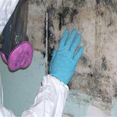 Ensuring A Strong Roof: The Role Of Mold Remediation In Philadelphia Before Restoration