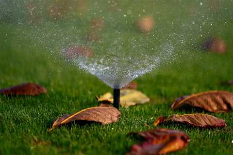 Why Residential Sprinklers Are The Perfect Partner For Seasonal Tree Care Services In Northern..