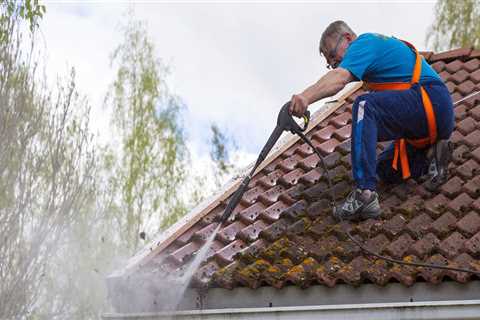 Cleaning to prevent Algae Growth on Arizona Roofs