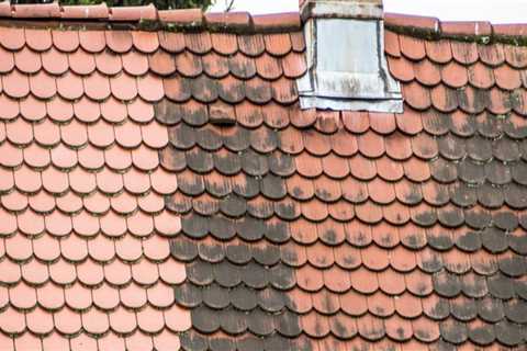 Causes of Mold and Mildew Growth on Roofs