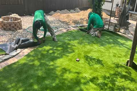 Why Do Arborists Recommend Installing Sod Grass For Landscaping Projects In Austin, TX?