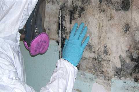 Ensuring A Strong Roof: The Role Of Mold Remediation In Philadelphia Before Restoration