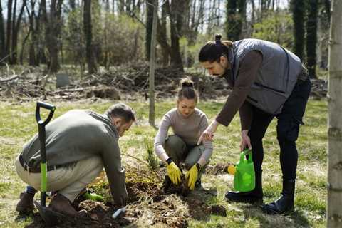 PROPERLY PLANTING NEW TREES ON YOUR PROPERTY